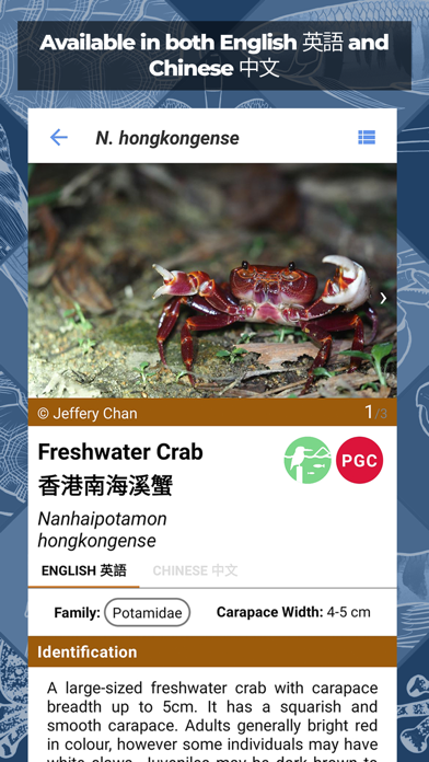 Freshwater Species: Hong Kong Screenshot