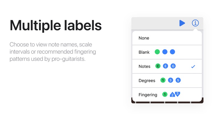 Guitar Scale Finder Tool screenshot-4