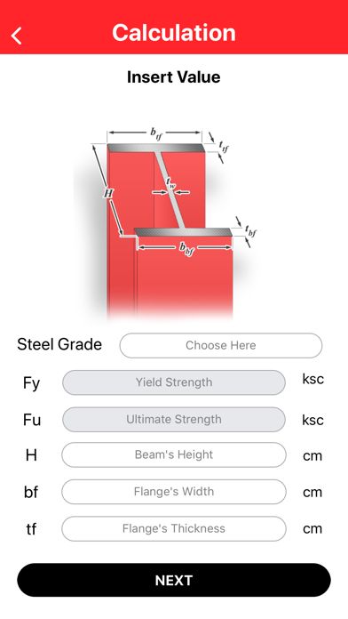 SSI Steel Design Screenshot