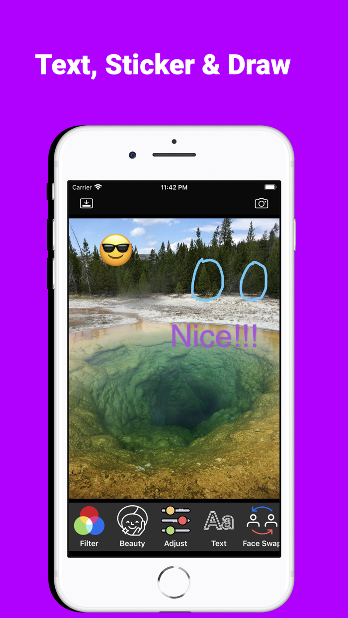 PicPal Photo Editor Face Swap