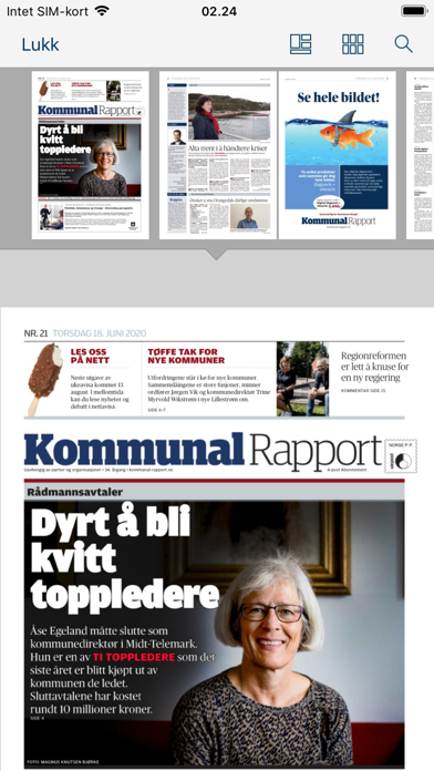 Screenshot #2 pour Kommunal Rapport
