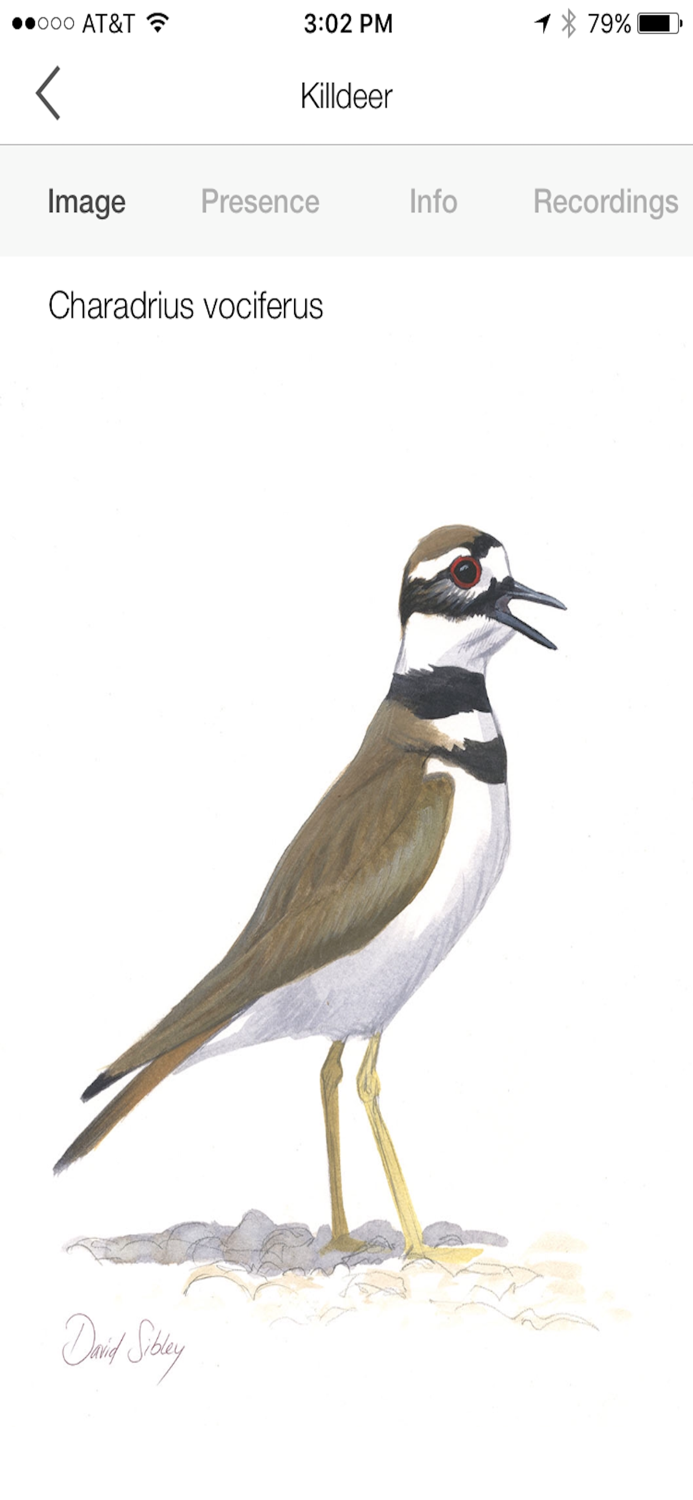 Song Sleuth Bird Song Analyzer