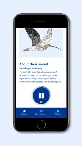 Game screenshot DK RSPB Bird Sounds apk