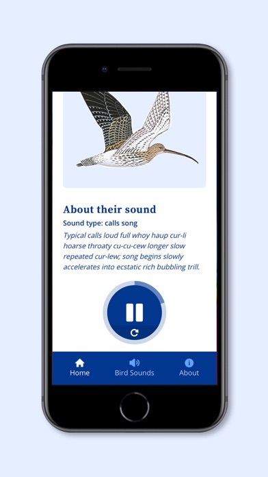 Screenshot #2 pour DK RSPB Bird Sounds