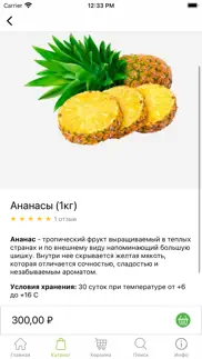 ЭкоКорзина. Доставка продуктов iphone screenshot 2