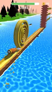 spiral roll iphone images 2