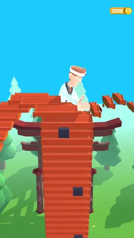 Game screenshot Karate Boy 3D apk