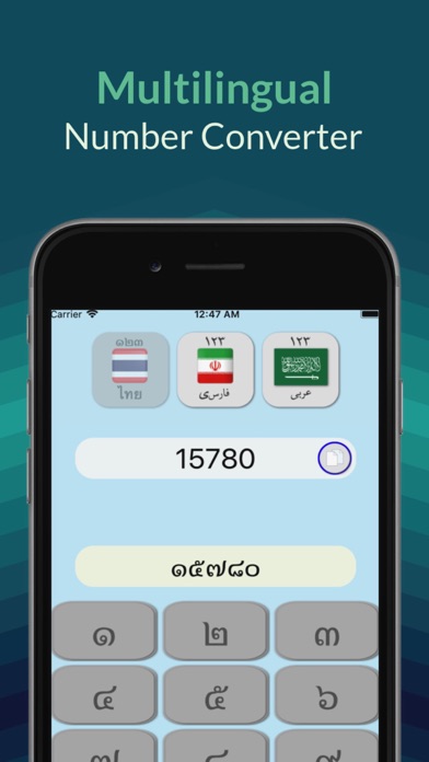 Screenshot #3 pour Multilingual Number Converter