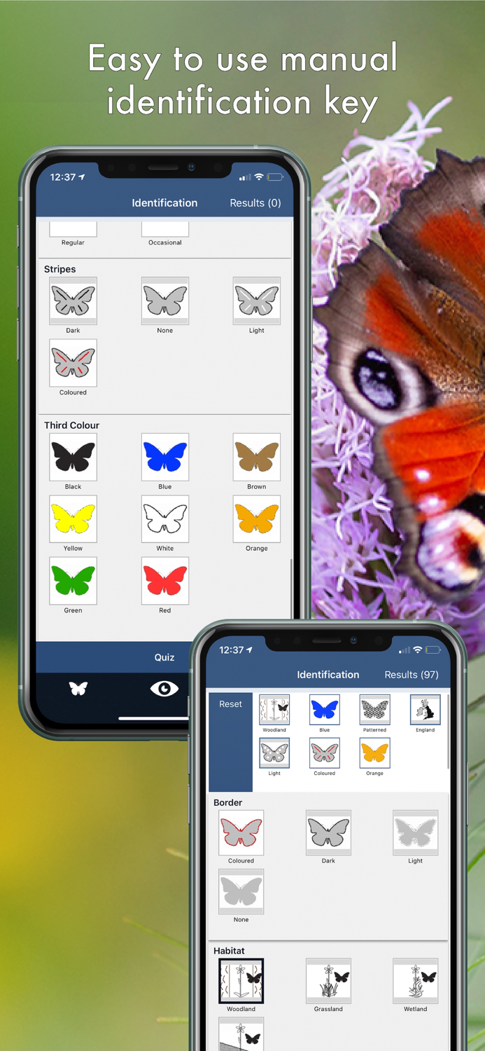 Butterfly Id - UK Field Guide