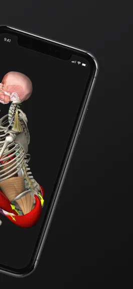 Game screenshot WORKOUTS by Muscle & Motion apk