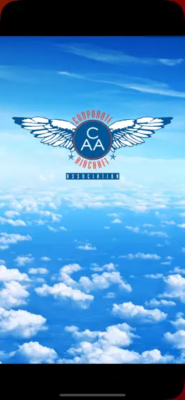 Game screenshot Corp Aircraft Association V2 apk