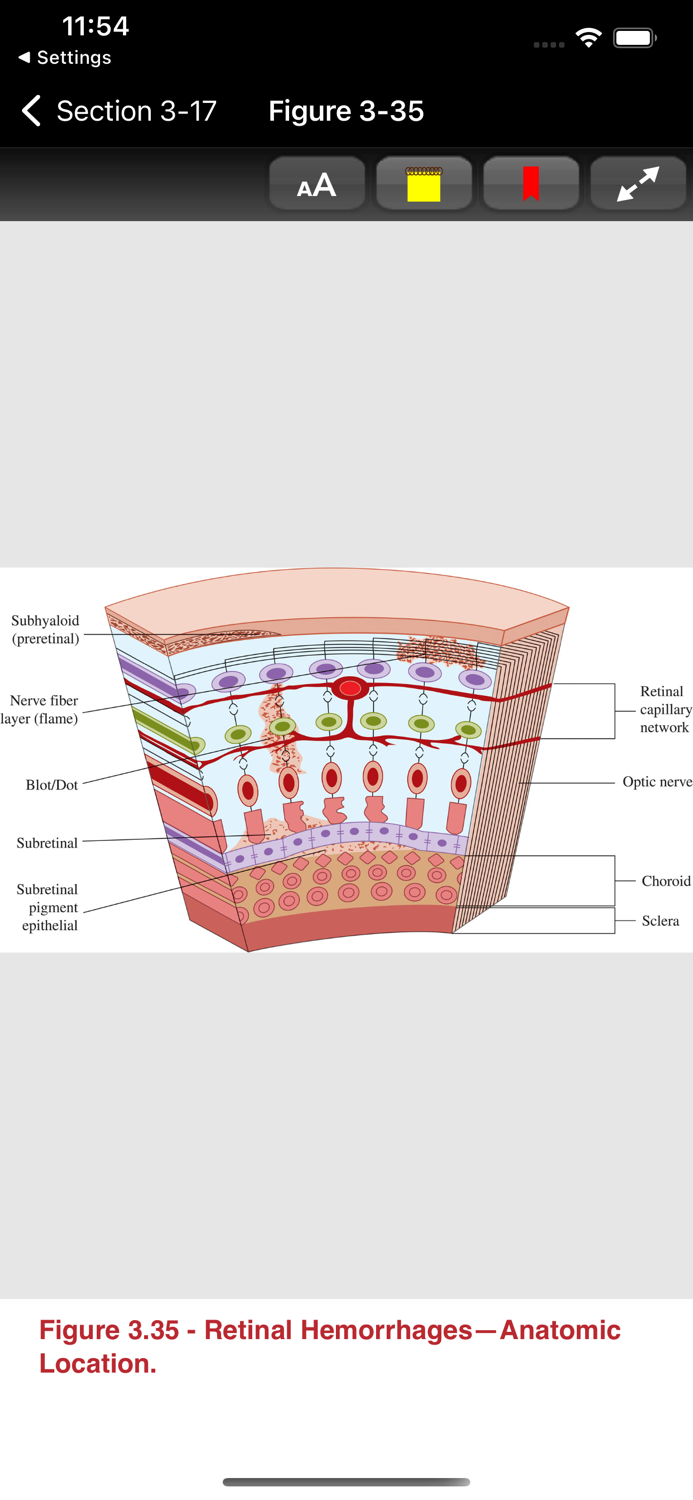 Atlas of Emergency Medicine 5E