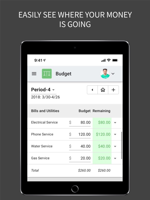 Budgetocity iPad screenshot 3 - Finance app