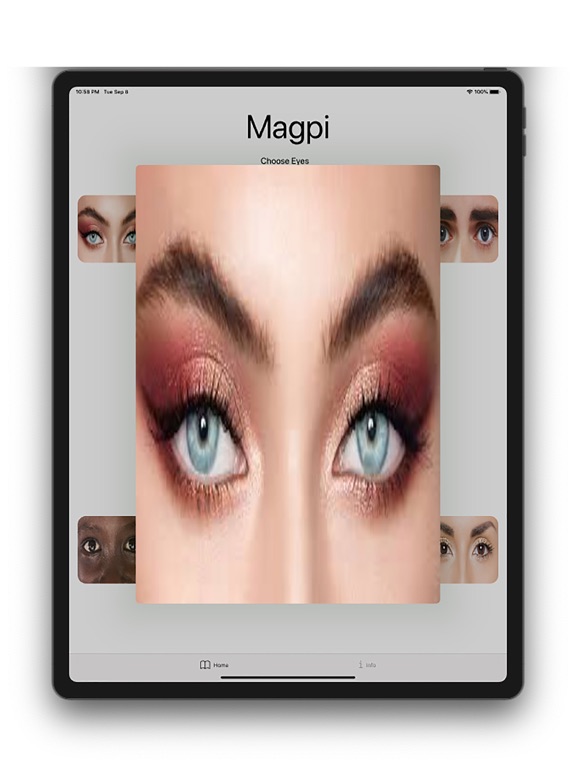Screenshot #6 pour Magpi