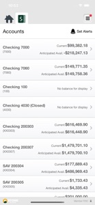 Stone Bank Business Banking screenshot #4 for iPhone
