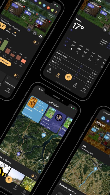 3Bee | I Tuoi Alveari