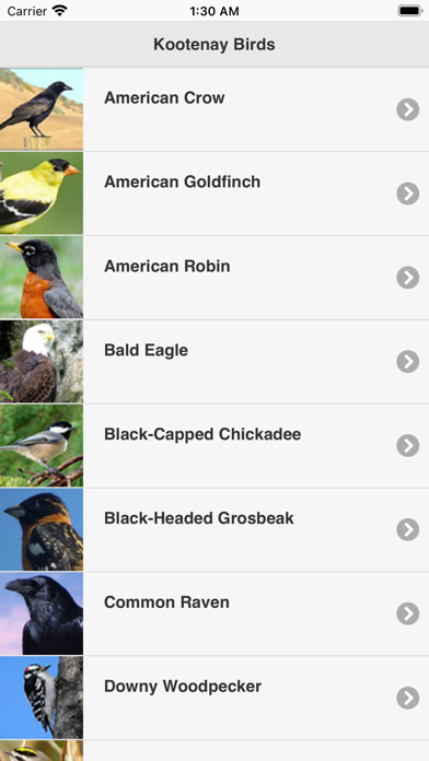 Kootenay BIrd Sounds Screenshot