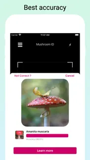 mushroomlens - fungi finder problems & solutions and troubleshooting guide - 4