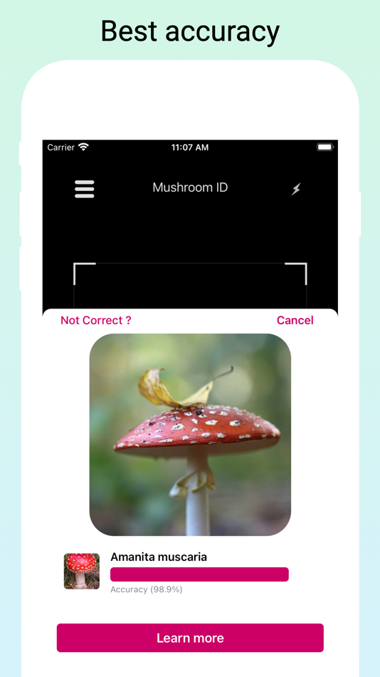 #3. Mushroom Identifier by photo (iOS) 由: RLAM FZCO