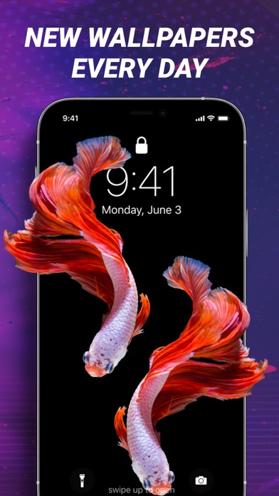 Meow Live Wallpapers&HD Themes Screenshot