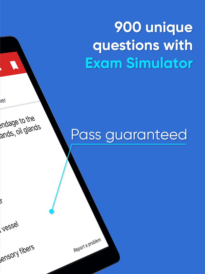 Nails Exam - Luyện Thi Nails