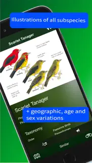 all birds trinidad and tobago iphone screenshot 3