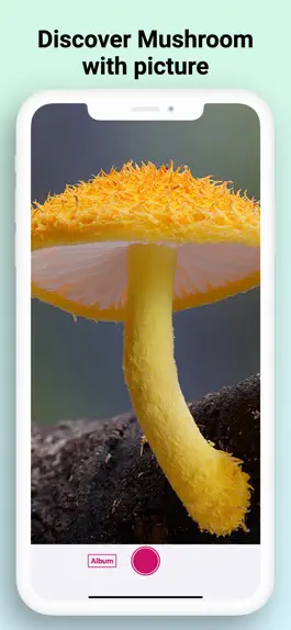 Game screenshot Mushroom Identifier - Fungi Id apk