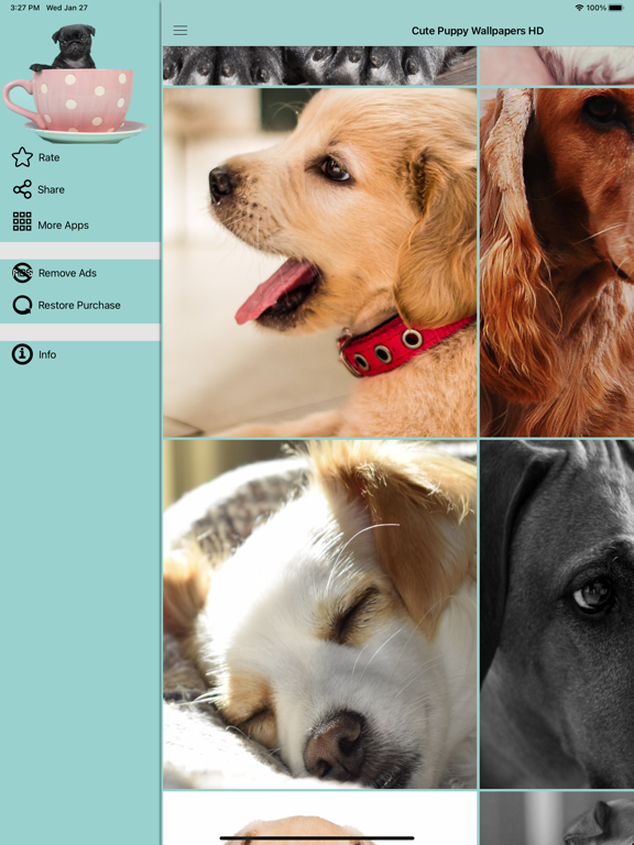 Screenshot #6 pour Fonds d'écran chiot mignon HD