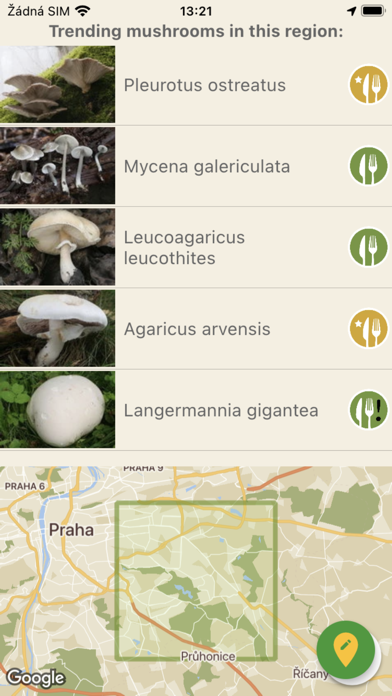 Mushrooms app Screenshot