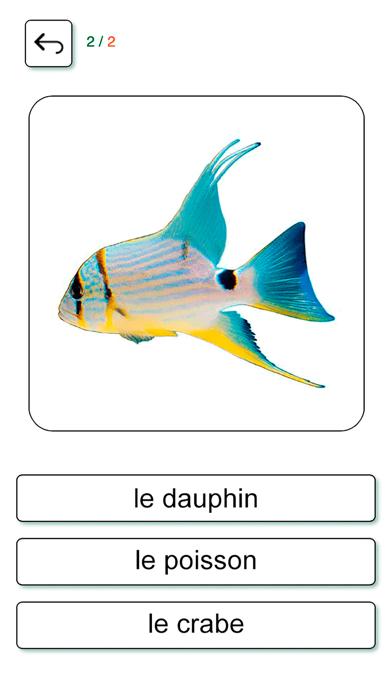 Screenshot #3 pour Apprenons et jouons Français +