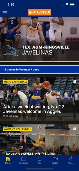 Game screenshot Javelina Athletics mod apk