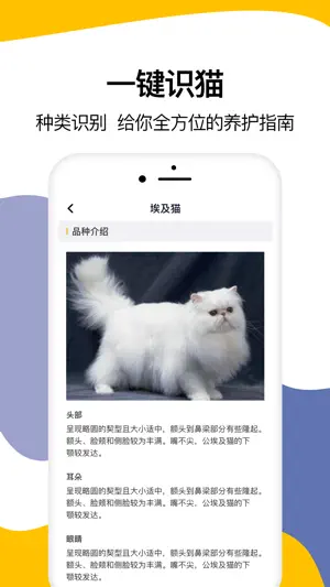 猫语翻译-宠物猫咪翻译器 screenshot 4
