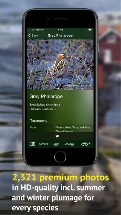 All Birds Sweden - Photo Guide Screenshot