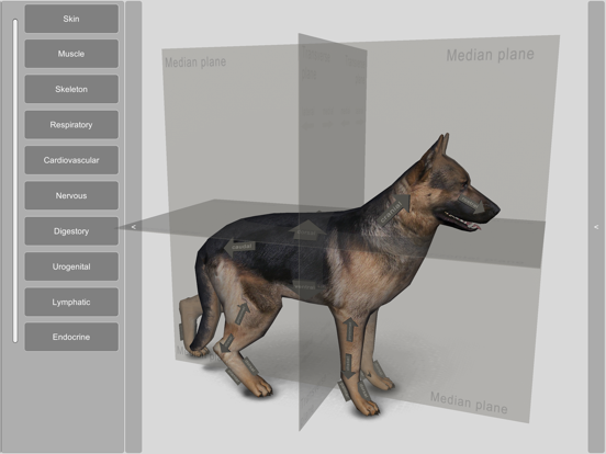 Screenshot #4 pour 3D Canine Anatomy