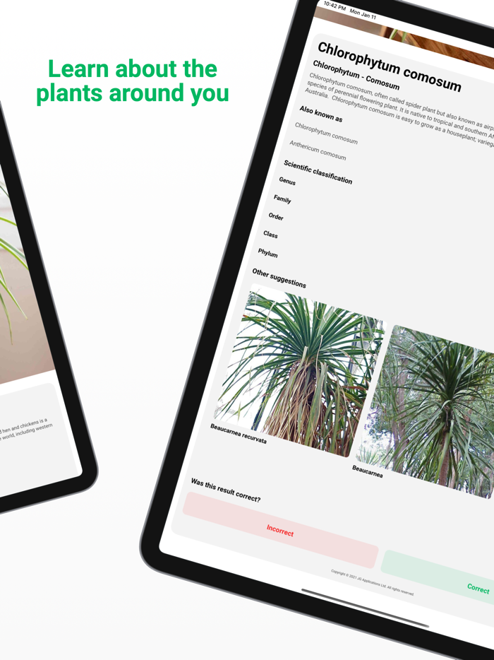 Plant ID - Identify Plants