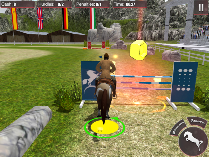 Champion Of Horse Jumping Show