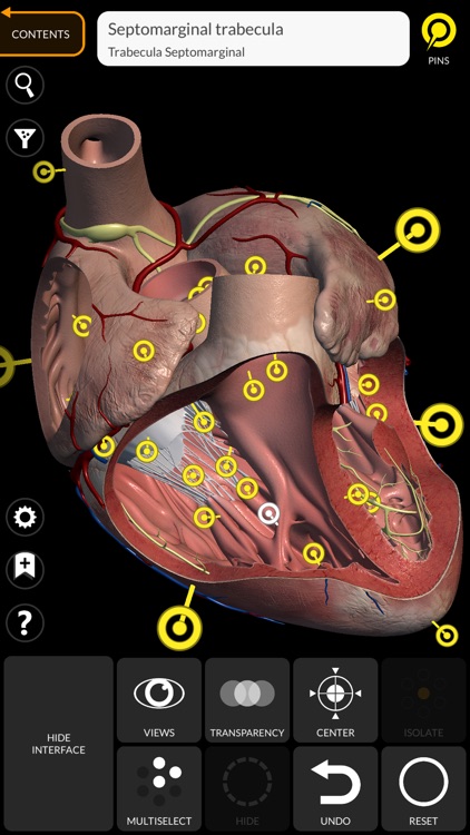 Anatomy 3D Atlas screenshot-3