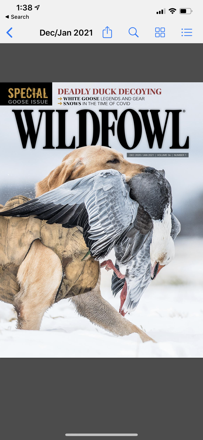 Wildfowl Magazine