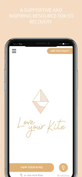 Game screenshot Love your Kite mod apk