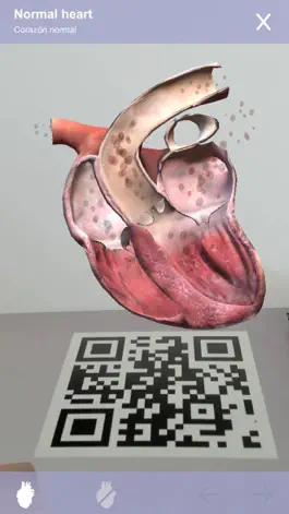 Game screenshot Cardiology 3D Small Animals hack