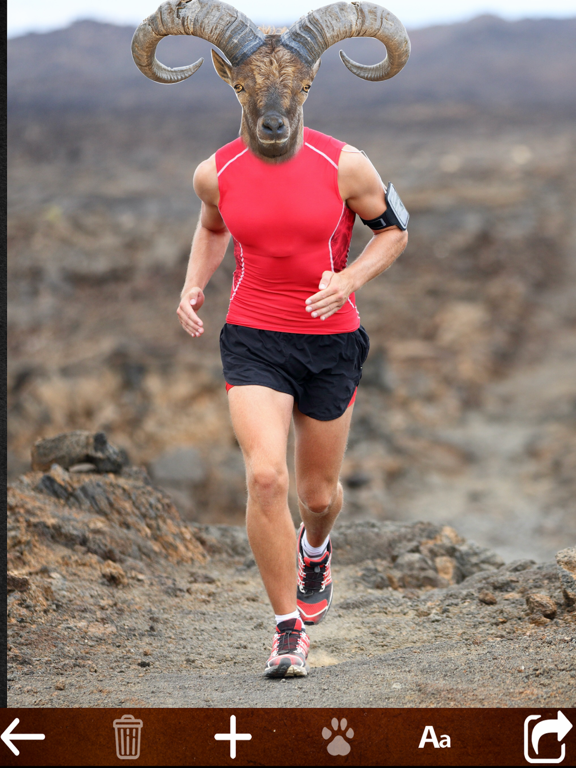 Animal Face Photo Booth iPad screenshot 5 - Photo & Video app