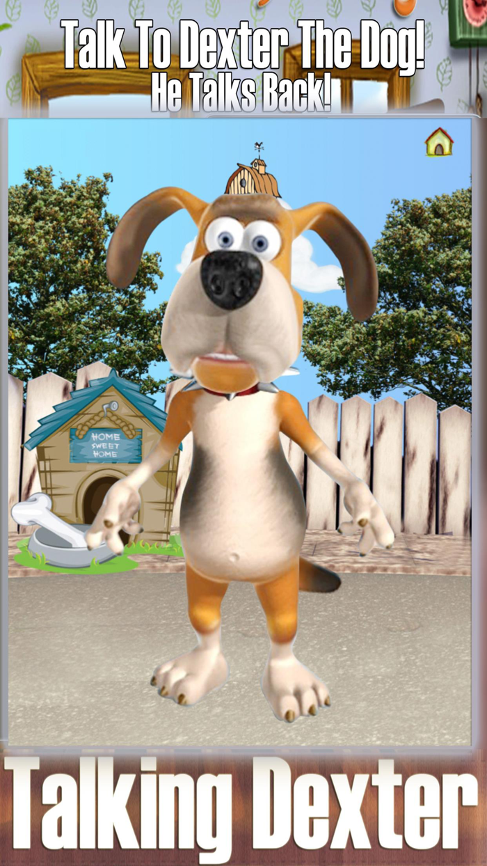 Talking Dexter The Dog