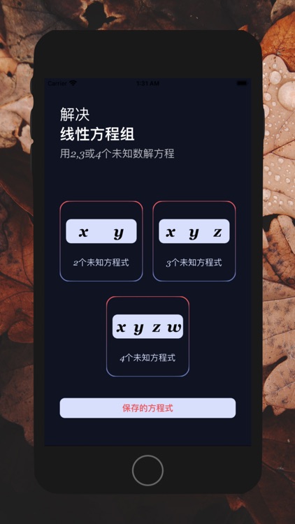一维线性方程求解器