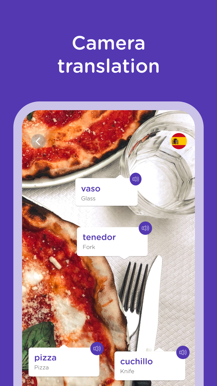 Fast Language Learning - Words