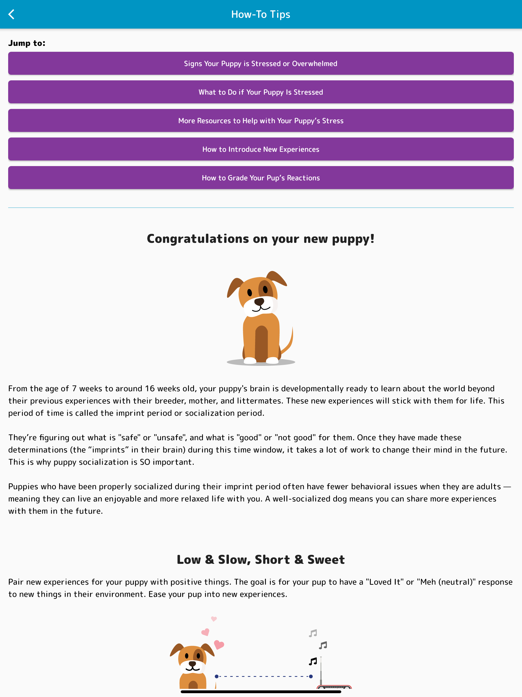 Pupstanding: Puppy Training screenshot 9
