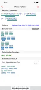 RegEx Knife screenshot #4 for iPhone