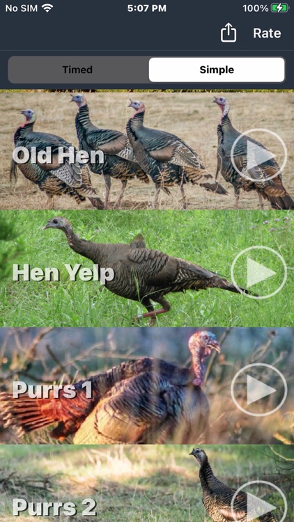 Wild Turkey Calls + screenshot-6