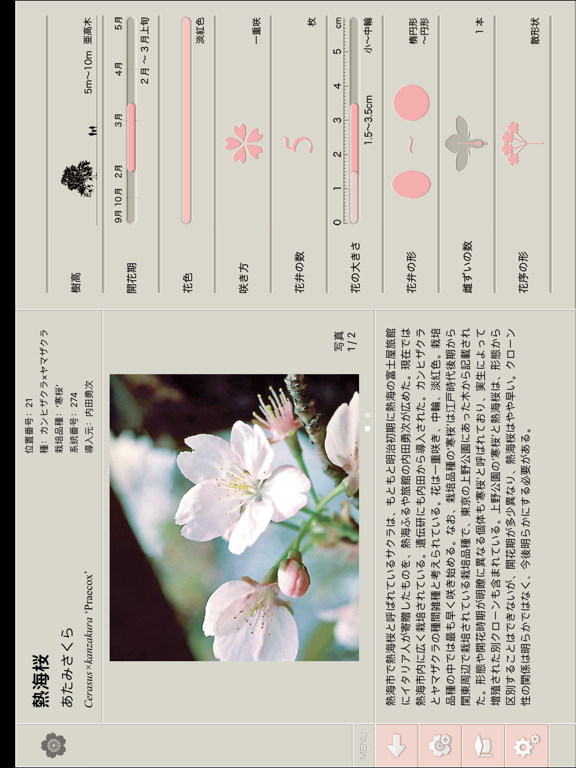 Screenshot #6 pour さくら図鑑