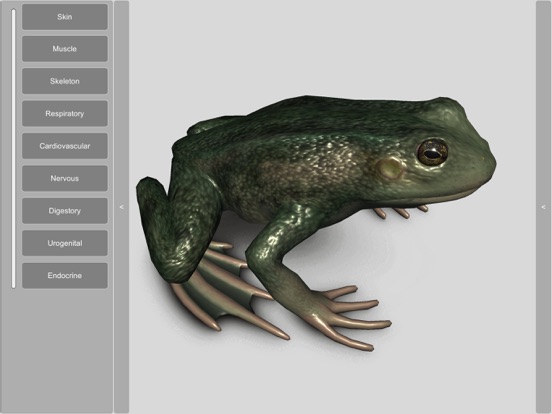 Screenshot #4 pour 3D Frog Anatomy