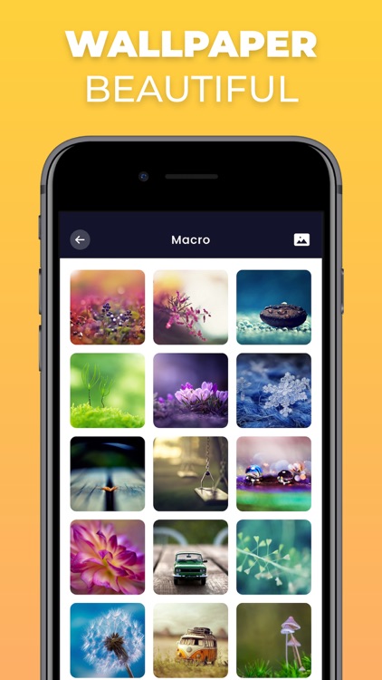 Write On Photos - Add Text Art